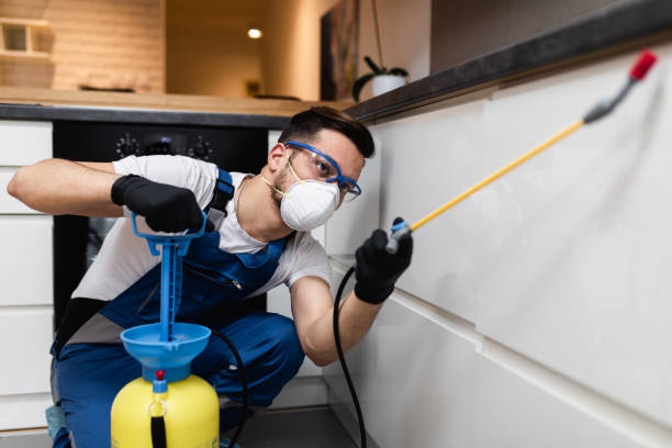 Best Termite Control Services  in Kasson, MN