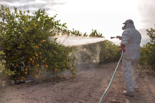 Pest Prevention Services in Kasson, MN