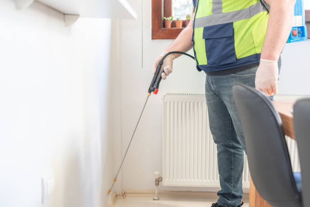 Best Termite Control Services  in Kasson, MN