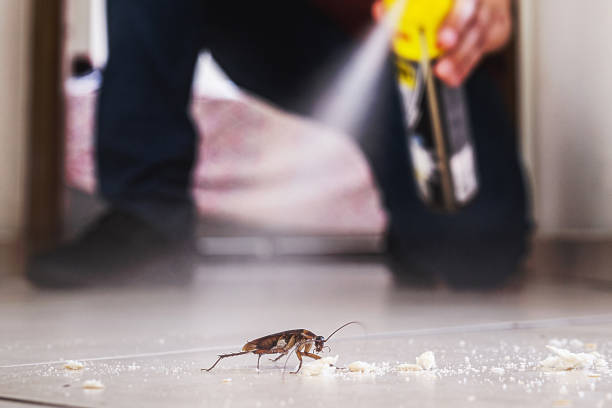 Best Pest Removal Services  in Kasson, MN
