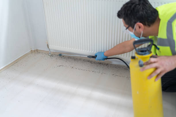 Best Local Pest Control Services  in Kasson, MN